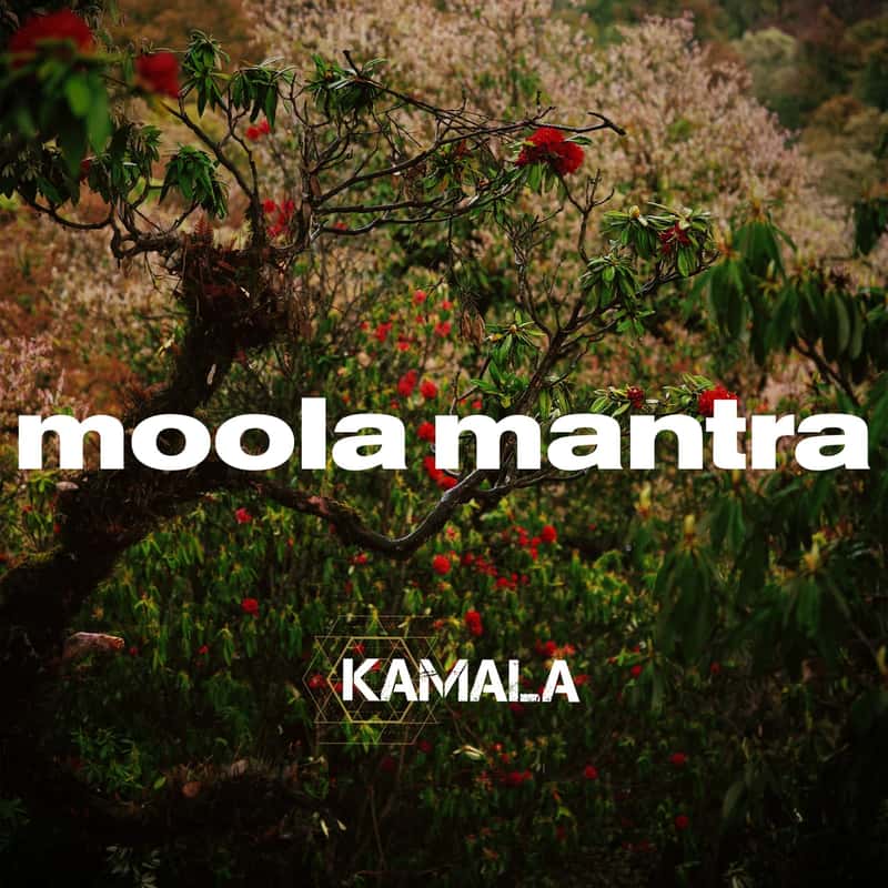 Moola Mantra